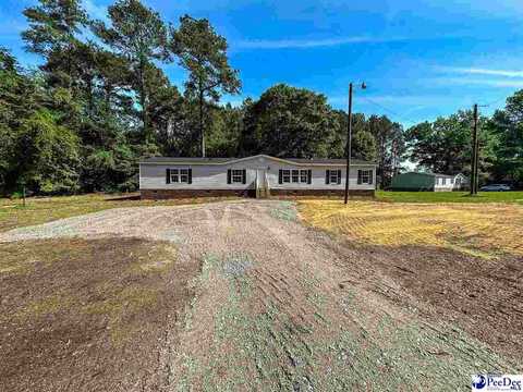 728 Bluebird Lane, Darlington, SC 29540