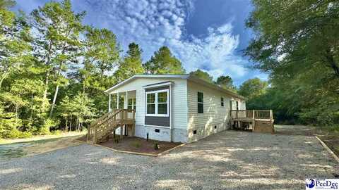 7727 Friendfield Rd, Effingham, SC 29541