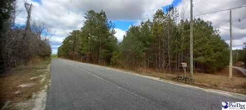 TBD Hannah Pond Rd, Mc Bee, SC 29101