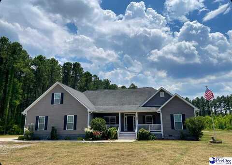 1948 Syracuse Community Rd, Darlington, SC 29532