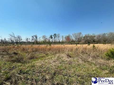 TBD Shine Rd, Johnsonville, SC 29555