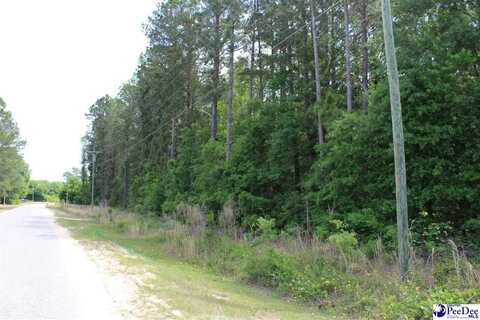 2.5 acres Dixie Acres Rd., Hamer, SC 29547