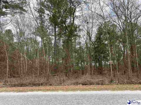 Lot 45 Club Drive, Lamar, SC 29069