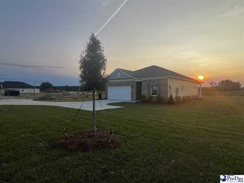 1237 N Price Road (Darcy ll-B2 Lot 43), Florence, SC 29506