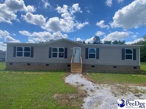 195 McElveen Circle, Lynchburg, SC 29080