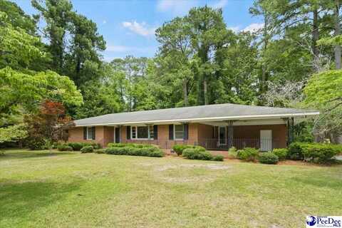 317 Bingham Ave, Olanta, SC 29114