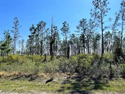 Lot 7 Chellsey St, Wewahitchka, FL 32465