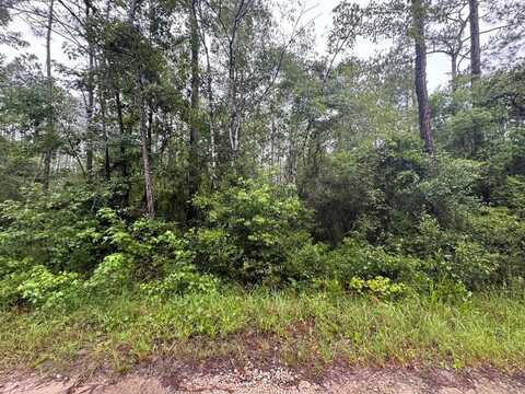 TBD Maleah Ln, Sopchoppy, FL 32358