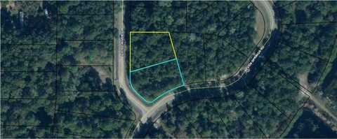 TBD Land Dr, Wewahitchka, FL 32465