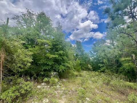 LOT 96 Ottawa Ct, Alford, FL 32420