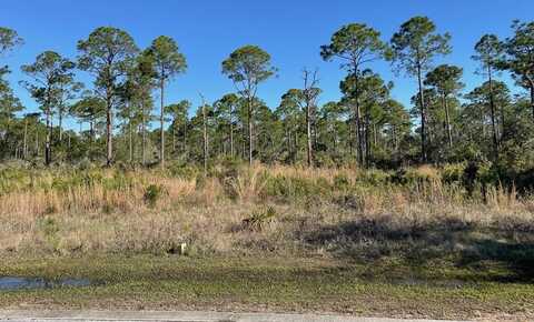 Lot 18 Shallow Reed Dr, Port Saint Joe, FL 32456