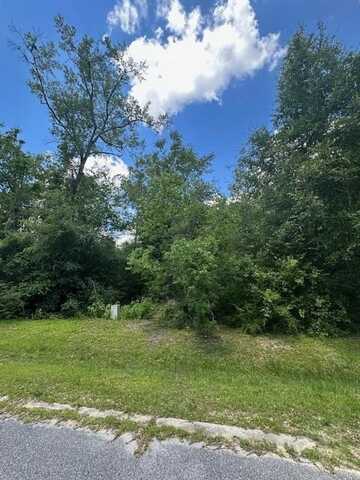 Lot 21 Seven Springs Dr, Wewahitchka, FL 32465