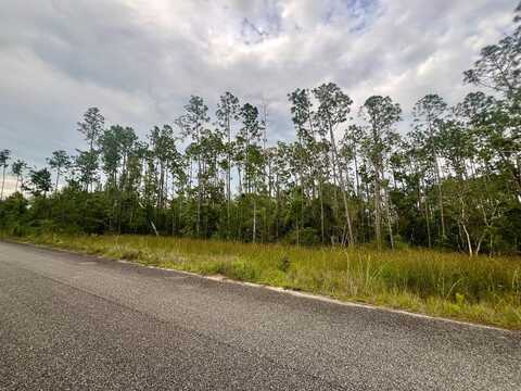 160 Jazzy Lane, Wewahitchka, FL 32465