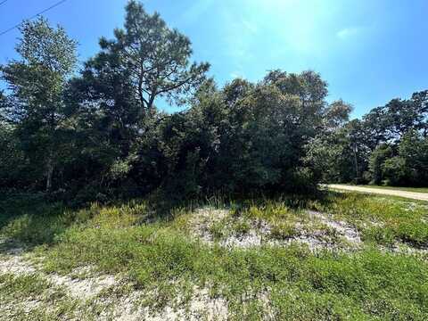 2515 Oleander Ter, Lanark Village, FL 32323