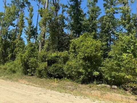 Lot 4 Johnson St, Wewahitchka, FL 32465