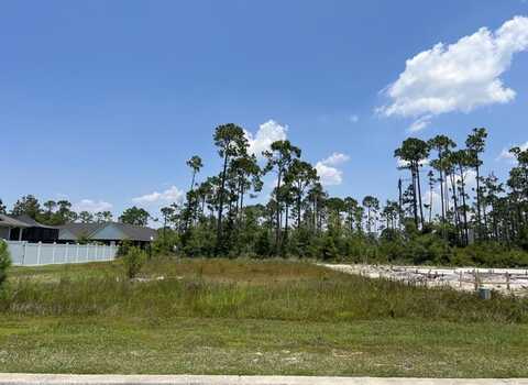 119 White Blossom Trl, Port Saint Joe, FL 32456