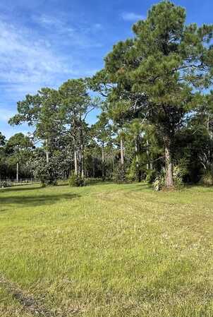 Lot 2 Plantation Dr, Port Saint Joe, FL 32456