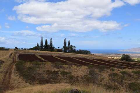 Omaopio Rd, Kula, HI 96790