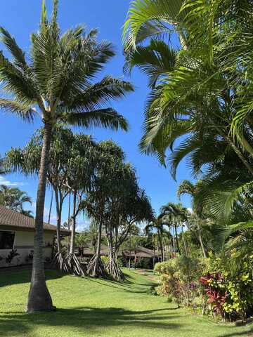 3788 Lower Honoapiilani Rd, Lahaina, HI 96761