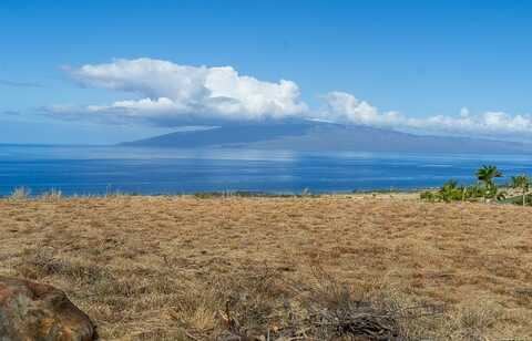 160 Paia Pohaku Pl, Lahaina, HI 96761