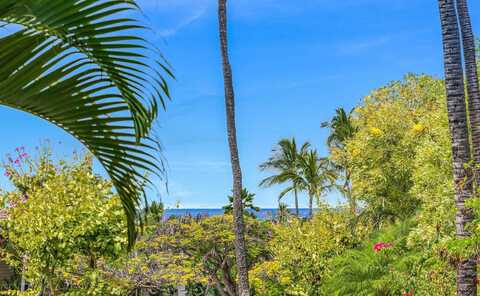 155 Wailea Ike Pl, Kihei, HI 96753