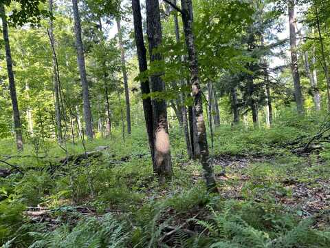 RANGE LINE LAKE, WABENO, WI 54566