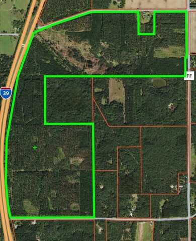 335 Ac COUNTY ROAD FF, COLOMA, WI 54930