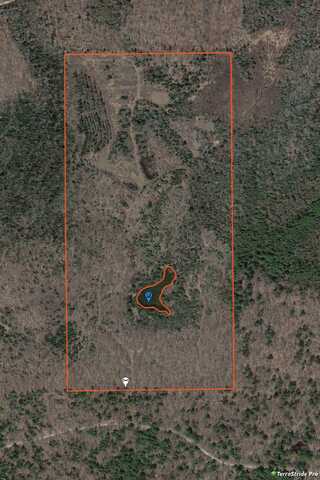 3780 PESHTIGO RIVER Road, LAONA, WI 54541