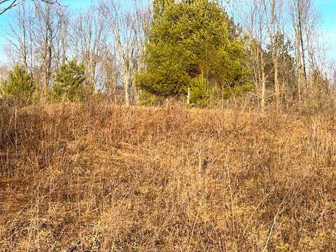 THORN APPLE Drive, WITTENBERG, WI 54499