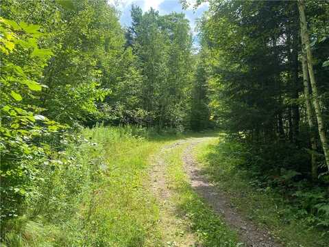 Near Warren Road, Fifield, WI 54524