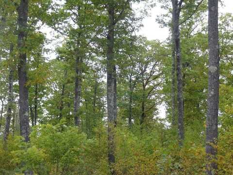 Near Half Mile Road, Herbster, WI 54844