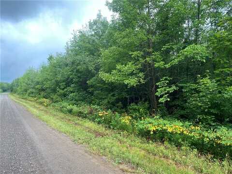 On Bear Lake Road, Butternut, WI 54514