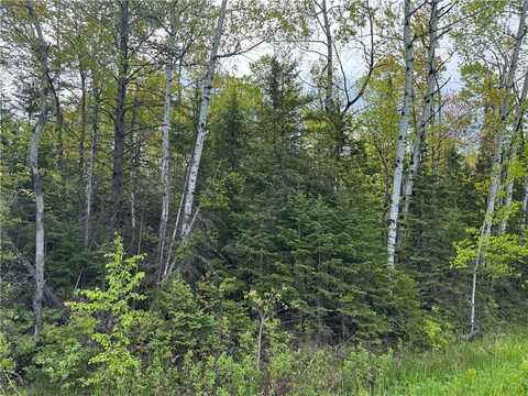 5.56 Acres On Evergreen Road, Port Wing, WI 54865