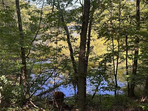 Oriole Lane lot: 1, Hayward, WI 54843