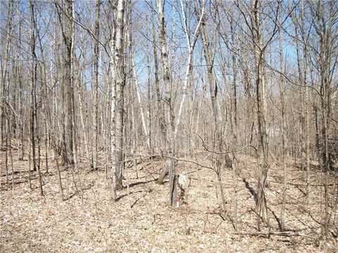 Lots #99 & #100 WOODS (SPRUCE) Avenue, Birchwood, WI 54817