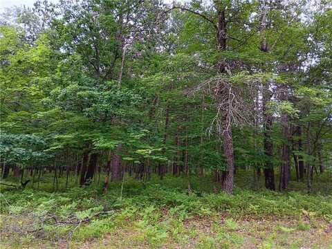 Lot 30 Great Bear Passage, Danbury, WI 54830