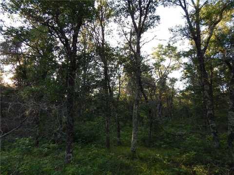 Xxx Namekagon Trail, Danbury, WI 54830