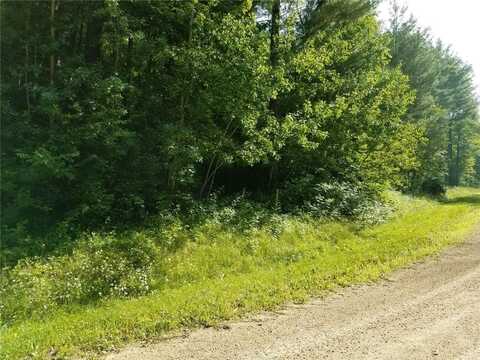 Lot 35 297th Street, Eau Galle, WI 54737