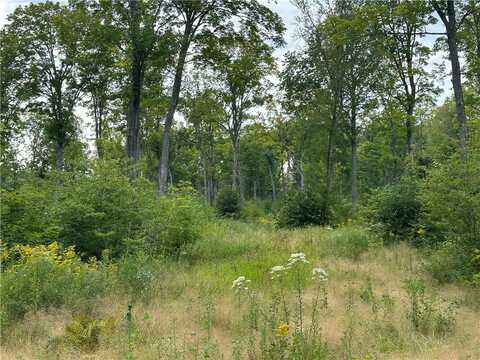 559.02 Acres Hwy T, Dairyland, WI 54830