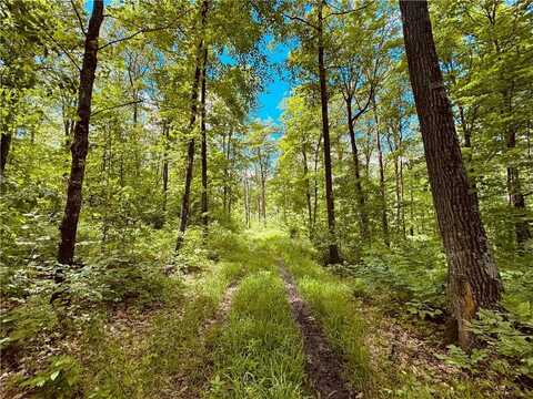 0 Breakneck Road, Birchwood, WI 54817