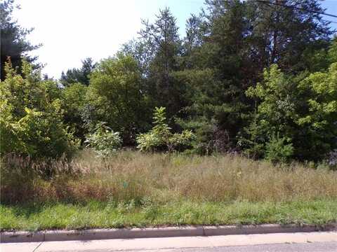 1707 Mitchell Avenue, Eau Claire, WI 54701