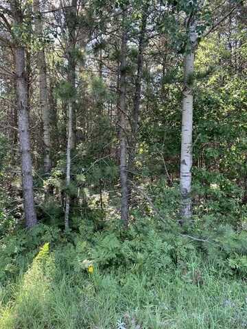 Near Seven Mile Road, Herbster, WI 54844