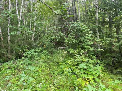 On Knowles Road, Loretta, WI 54896