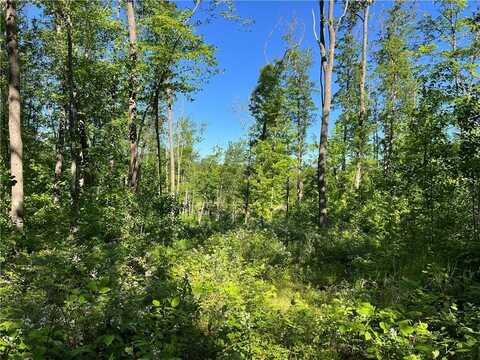 Xxx Rollingwood Road, Stone Lake, WI 54876