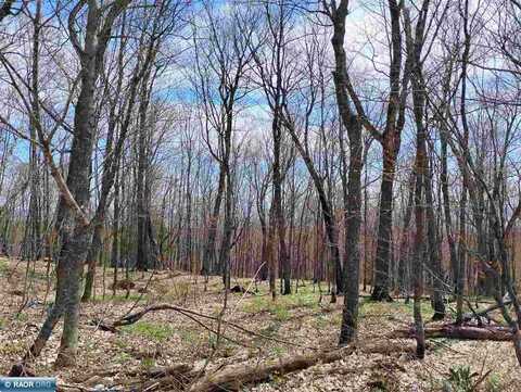 64x Caribou Trail, Lutsen, MN 55612