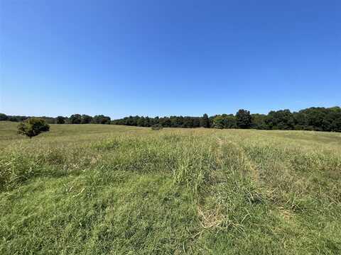 55.46 Acres Howell Wheat Road, Scottsville, KY 42164