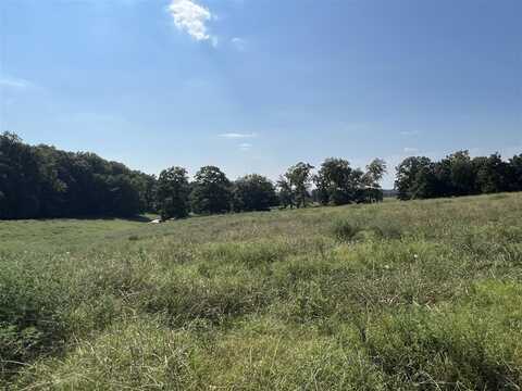 19.16 Acres Newman Road, Scottsville, KY 42164