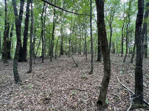 5.265 Acres Veterans Memorial Highway, Scottsville, KY 42164