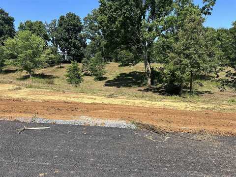 Lot 8 Quail Ridge Road, Scottsville, KY 42164