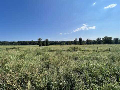 42.76 Acres Newman Road, Scottsville, KY 42164